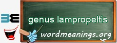 WordMeaning blackboard for genus lampropeltis